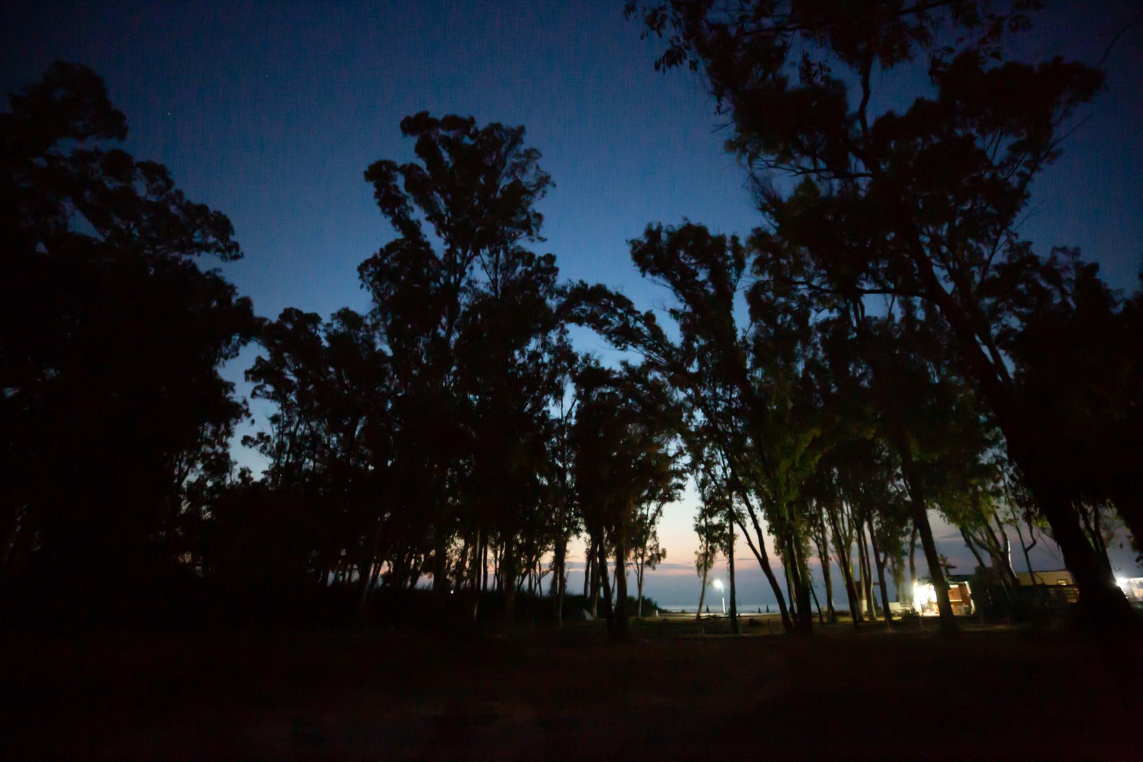 Rock Climbing-Abseiling9